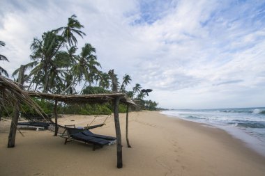 çim paillotte cennet vahşi Beach