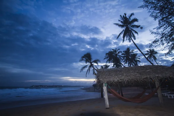 Vahşi Cennet plaj gece kulübede çimen — Stok fotoğraf