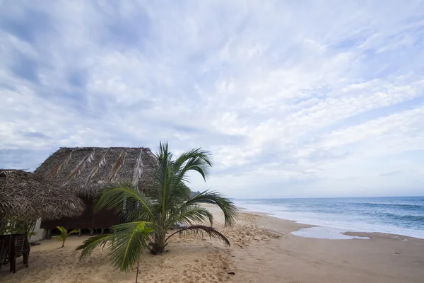 Grass hut in paradise wild beach — Stock Photo, Image