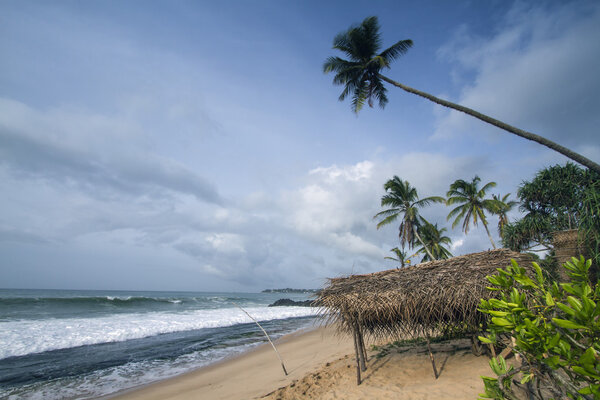 grass hut in paradise wild beach