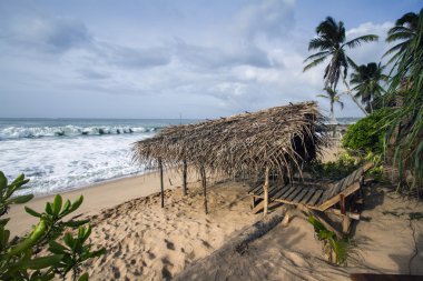 vahşi Cennet plaj kulübede çimen