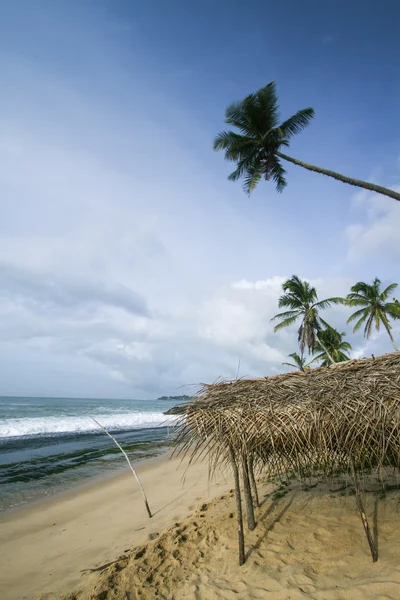 Grass hut in paradise wild beach — Stock Photo, Image