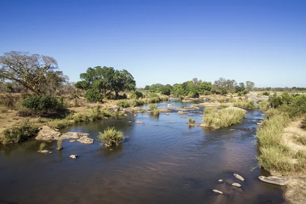 Sabie river v Krugerův národní park — Stock fotografie