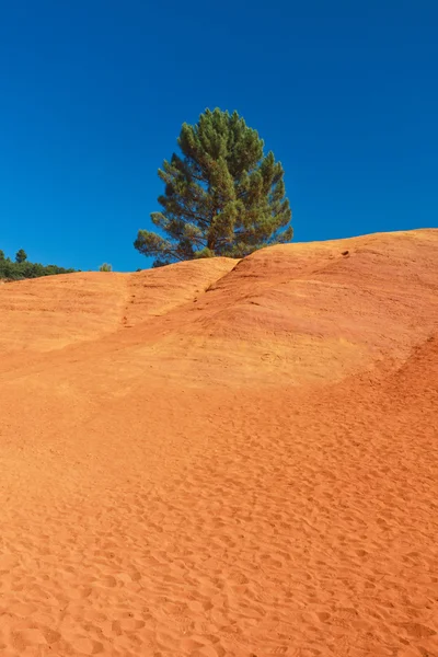 Colored ochre mountain with green tree — Stock Photo, Image