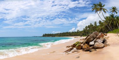 Sri Lanka, Asya güzel tropikal plaj Panoraması