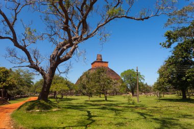 Jetavan the oldest Dagoba in Anuradhapura clipart