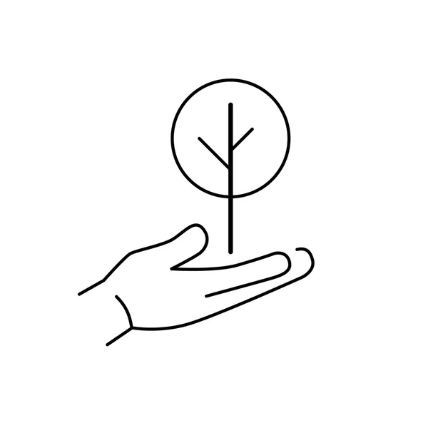 Deciduous tree growing in hand — 图库矢量图片