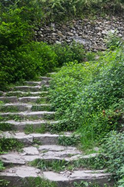 Cinque Terre içinde iz çıktı
