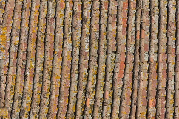 Alternde dachziegel in siena italien — Stockfoto