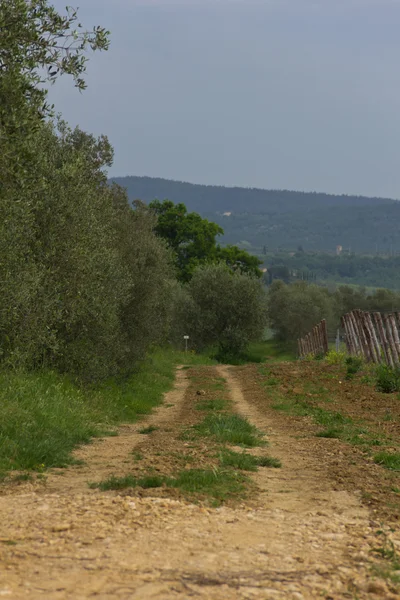 Estrada do campo em Toscana Itália — Fotografia de Stock