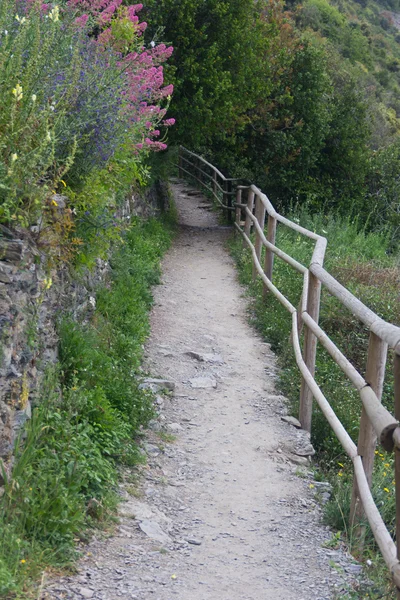 Cinque Terre de beroemde wandelroutes — Stockfoto