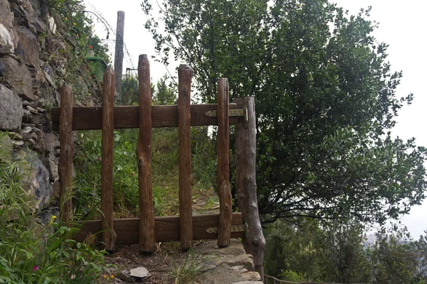 सिंक टेरे में एक पहाड़ी संयंत्र पर ग्रामीण गेट — स्टॉक फ़ोटो, इमेज