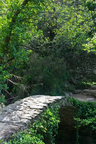 Malý kamenný most přes potok v Cinque Terre, Itálie — Stock fotografie