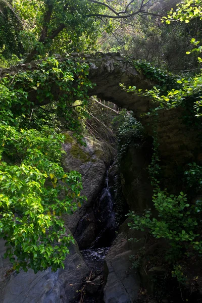 Ponte de pedra e um riacho em Cinque Terre Itália — Fotografia de Stock