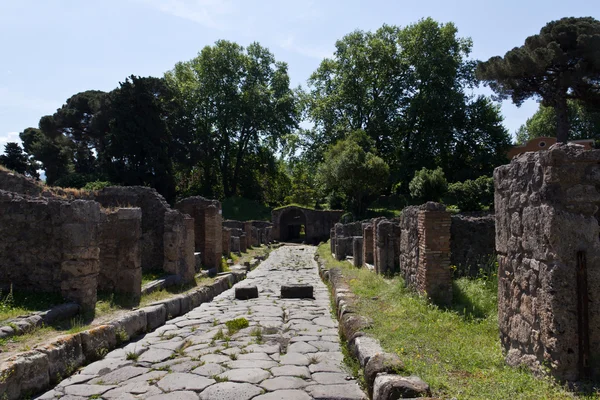Estrada principal escavada e casas de Pompeia — Fotografia de Stock