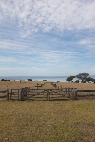 Cerca de madeira e portão na fazenda — Fotografia de Stock