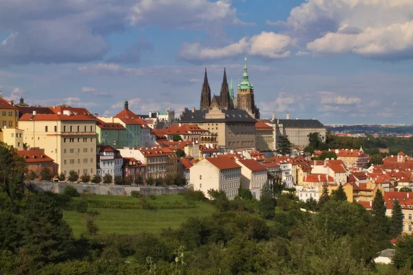 Praga República Checa, Catedral de San Vito — Foto de Stock