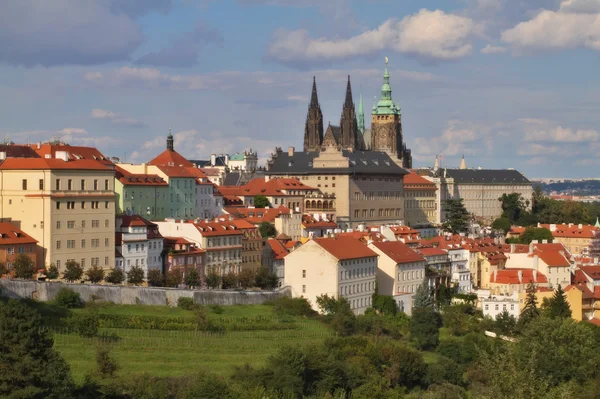Praga República Checa, Catedral de San Vito — Foto de Stock