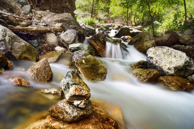 Bir dağ nehrinin akıntıları