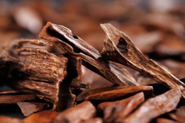 In most Arab countries bukhoor is the name given to scented bricks or wood chips clipart