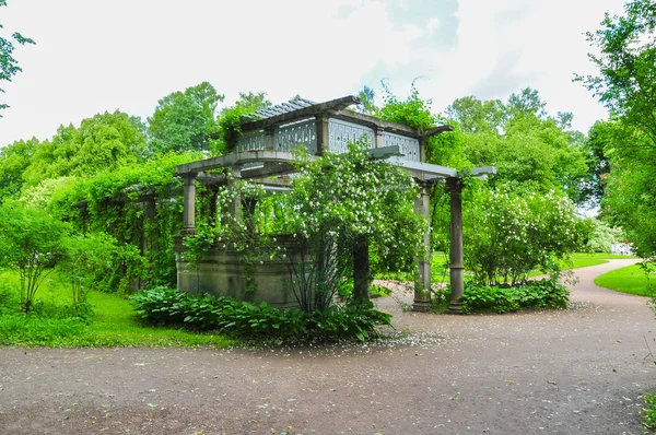 Steegje met wijngaarden en pergola 's. — Stockfoto