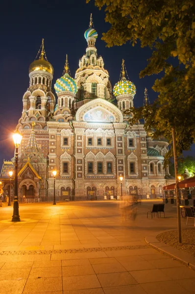 Gece St. Petersburg. — Stok fotoğraf