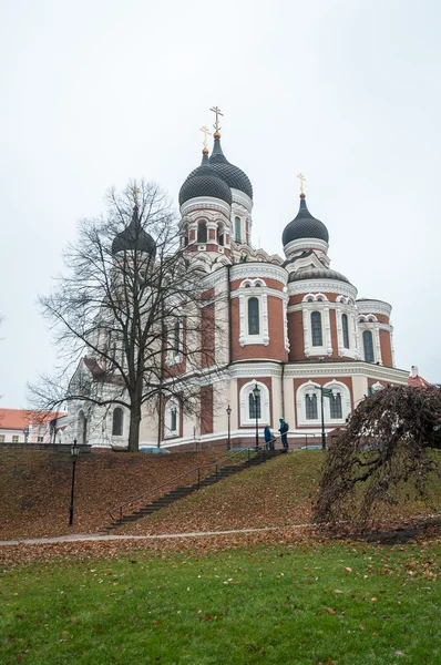 Александро-Невский собор — стоковое фото