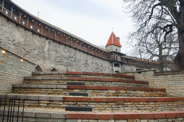 Puerta y escaleras a la antigua torre . — Foto de Stock