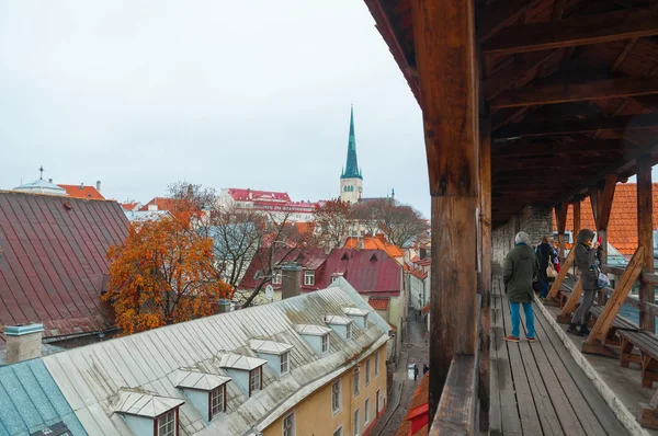 Dachy w Tallinnie. — Zdjęcie stockowe