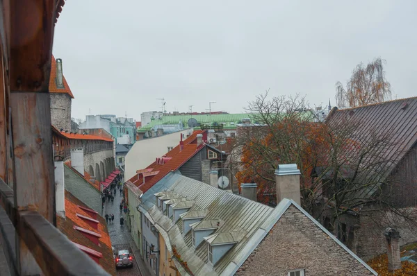 Roofs of Tallinn. — Stock Photo, Image