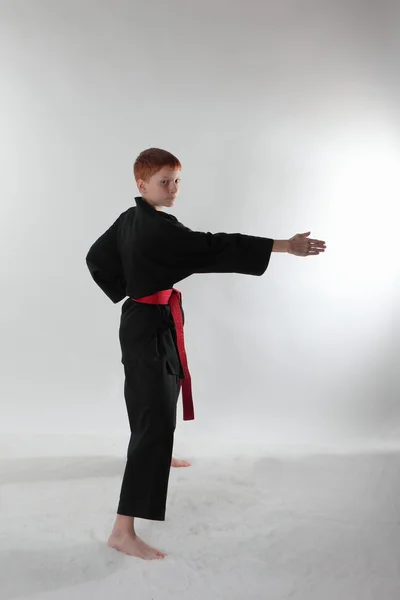 Karate en el ataque . —  Fotos de Stock