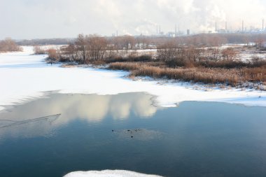 Ördek tedaviler su.