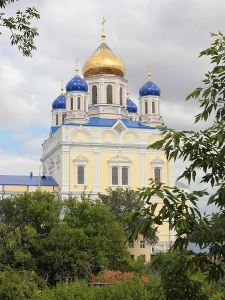 Kathedrale Mariä Himmelfahrt. Gelbe Karten. Russland — Stockfoto