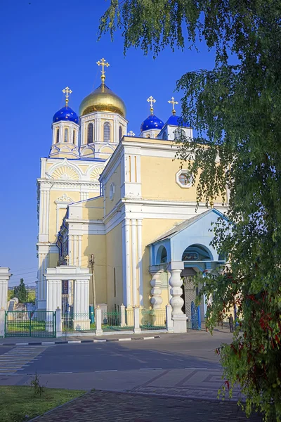 Kathedrale Mariä Himmelfahrt. Gelbe Karten. Russland — Stockfoto