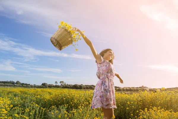 Oppakken van gele madeliefjes in een veld — Stockfoto