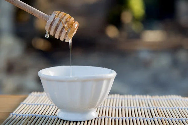 Ape Miele a colazione — Foto Stock