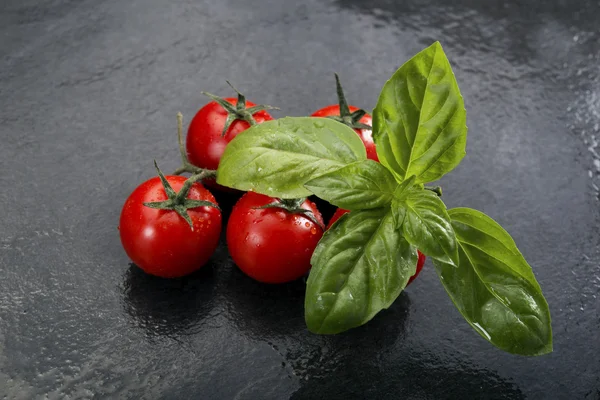 Basil and tomatoes — Stock Photo, Image