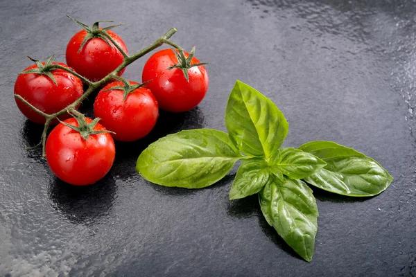 Basil and ripe of cherry tomatoes — Stock Photo, Image