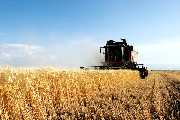 Weizenerntemaschine im Einsatz — Stockfoto