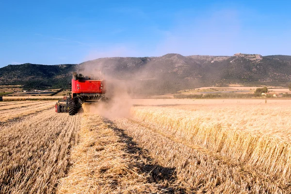 Weizenfeld in Apulien an einem sonnigen Tag mit einem Mähdrescher in — Stockfoto