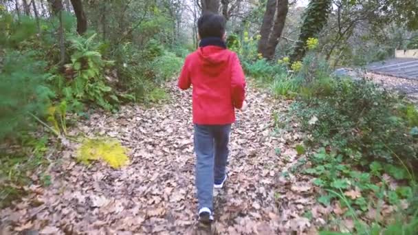 Zeitlupe Eines Kindes Das Von Hinten Einem Wald Davonläuft — Stockvideo