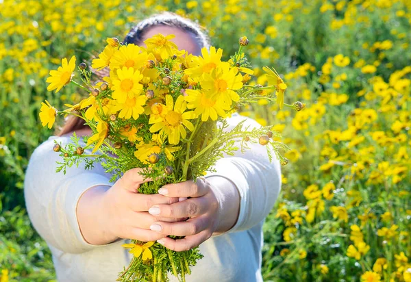 Grosse Femme Robuste Offre Bouquet Fleurs Jaunes Dans Champ Marguerites — Photo