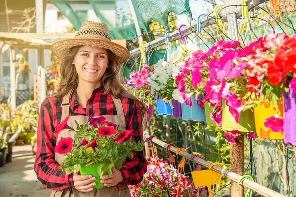 Щаслива Молода Жінка Усміхнений Флорист Працює Теплиці Садовому Центрі Червоними — стокове фото