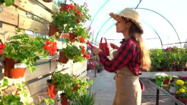 Süs bitkilerinin satışı için bir sera bahar etkinliğinde bahar ekimi için sulama tohumları.