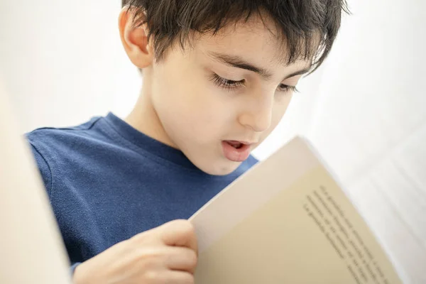 Retrato Niño Muy Atento Lee Libro Interesante — Foto de Stock