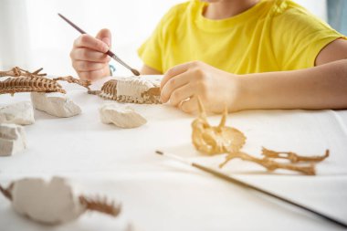 Küçük çocuk paleontolog, keşif konsepti ve bilimle ilgilenir