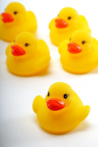 Patos de brinquedo amarelos — Fotografia de Stock