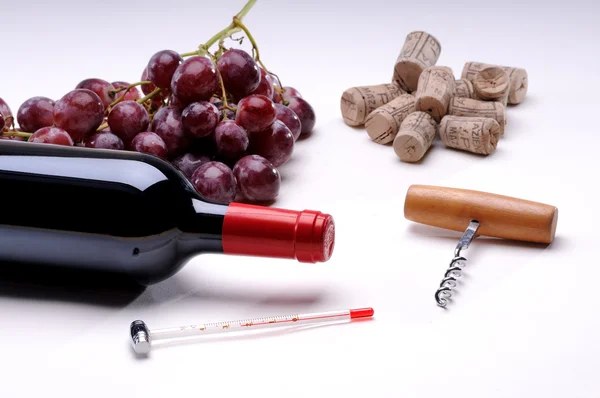 Şişe şarap tirbuşon ve yaprak ile