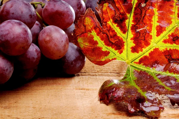 Bunch of grapes and leaf — Stock Photo, Image