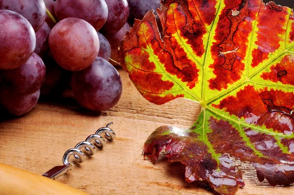 Bunch of grapes and corkscrew — Stock Photo, Image